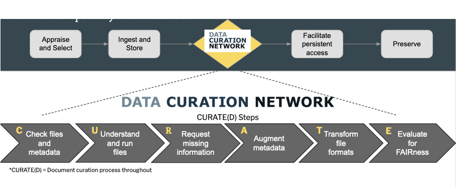 curation workflow